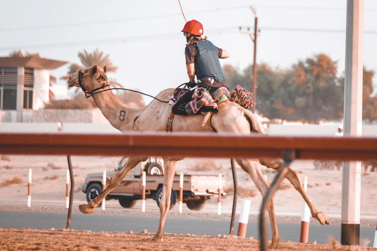 دبي Thumbnail