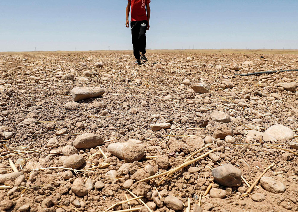 الجزيرة العربية Thumbnail
