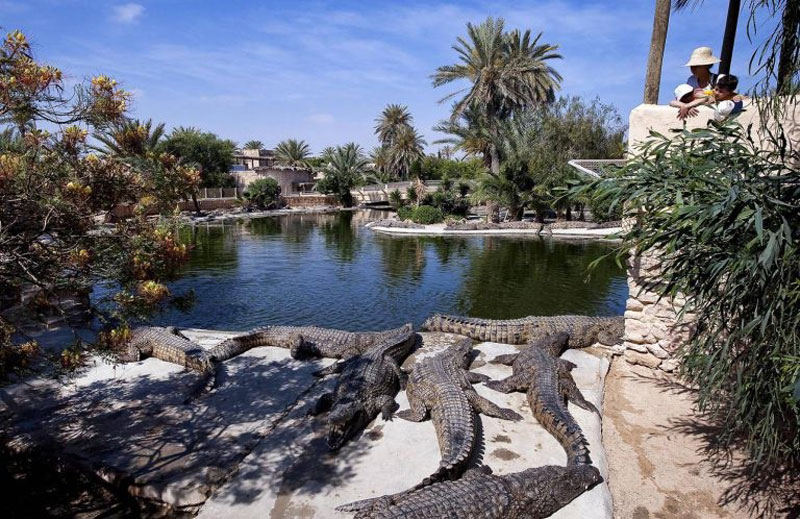 سياحة Thumbnail