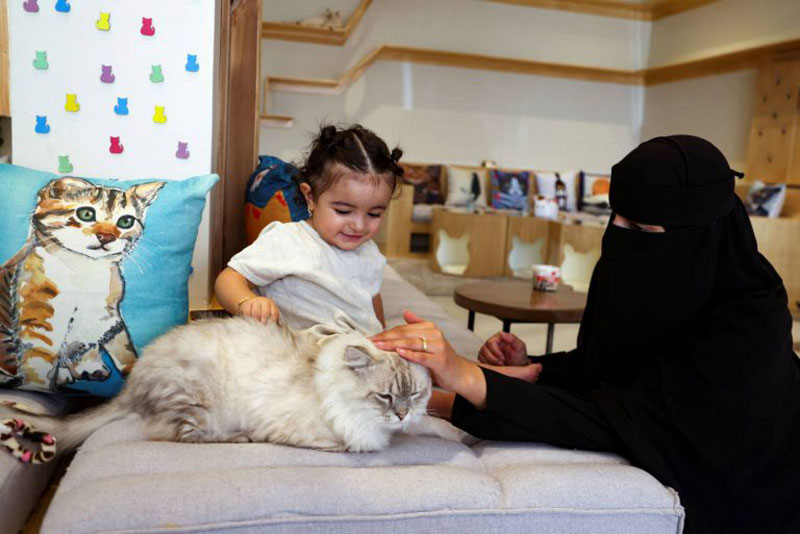 حيوانات أليفة Thumbnail