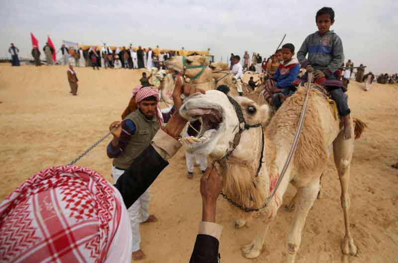 جوائز Thumbnail