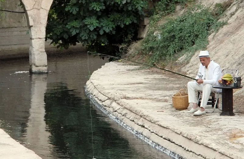 سينما Thumbnail