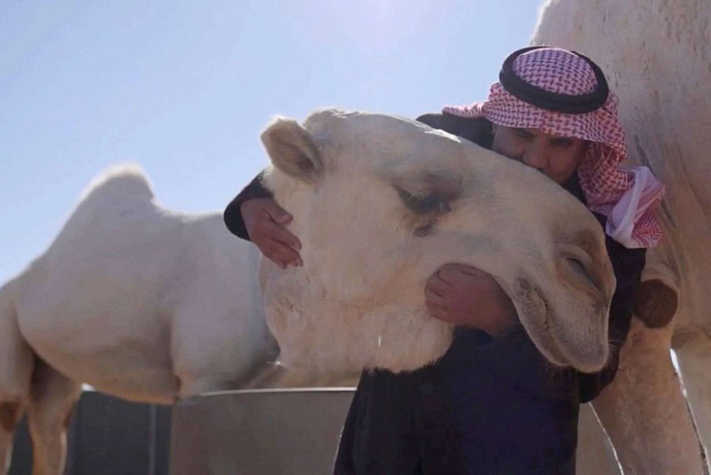 السعودية Thumbnail