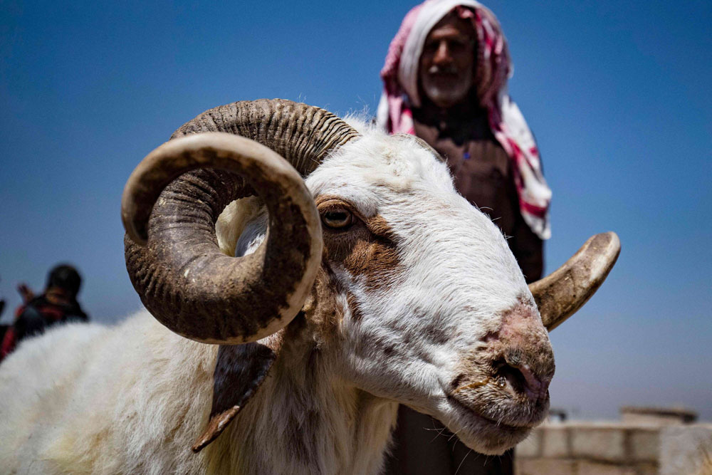 عيد الأضحى Thumbnail