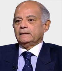 حسن هريدي: دعوة البرادعي لا تلقى صدى على أرض الواقع