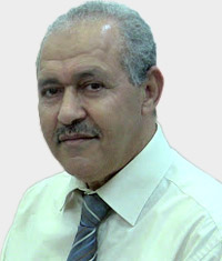 رضا شكندالي: اقتصاد انتقالي لا يمكن أن يعطي فائضا في الصادرات