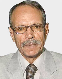 عطية عيسوي: إخماد التحرك العسكري في تيغراي بات أمرا صعبًا