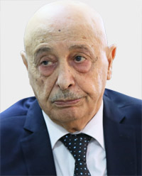 عقيلة صالح لمس غموض الموقف المصري من التدخل التركي في ليبيا