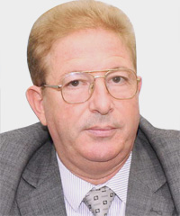 محمد ملهاق: قرار الدول العربية بيدها متى توافرت الإرادة السياسية