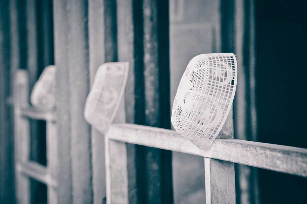 اعلاء قيم الاعتدال والتسامح