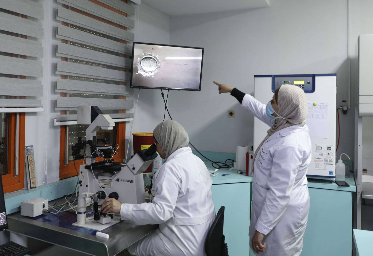 عميلية التخصيب تكلف أمهات القطاع