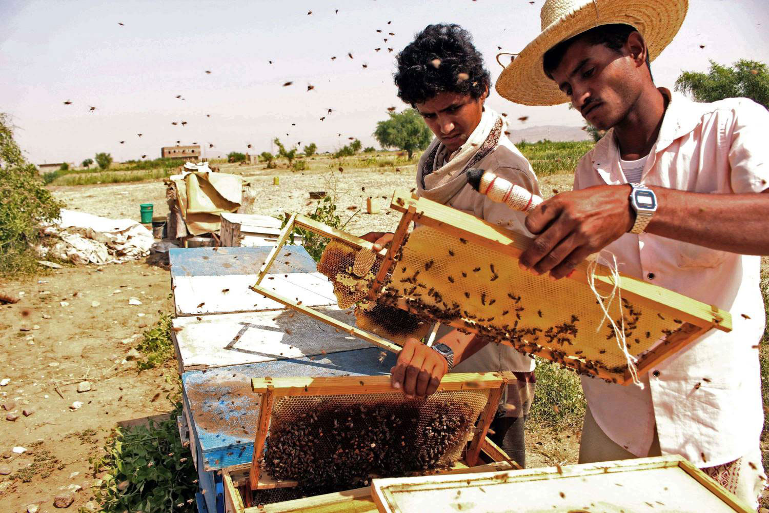 خبرة متوارثة