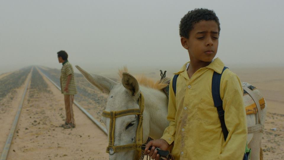 بانوراما إنسانية 