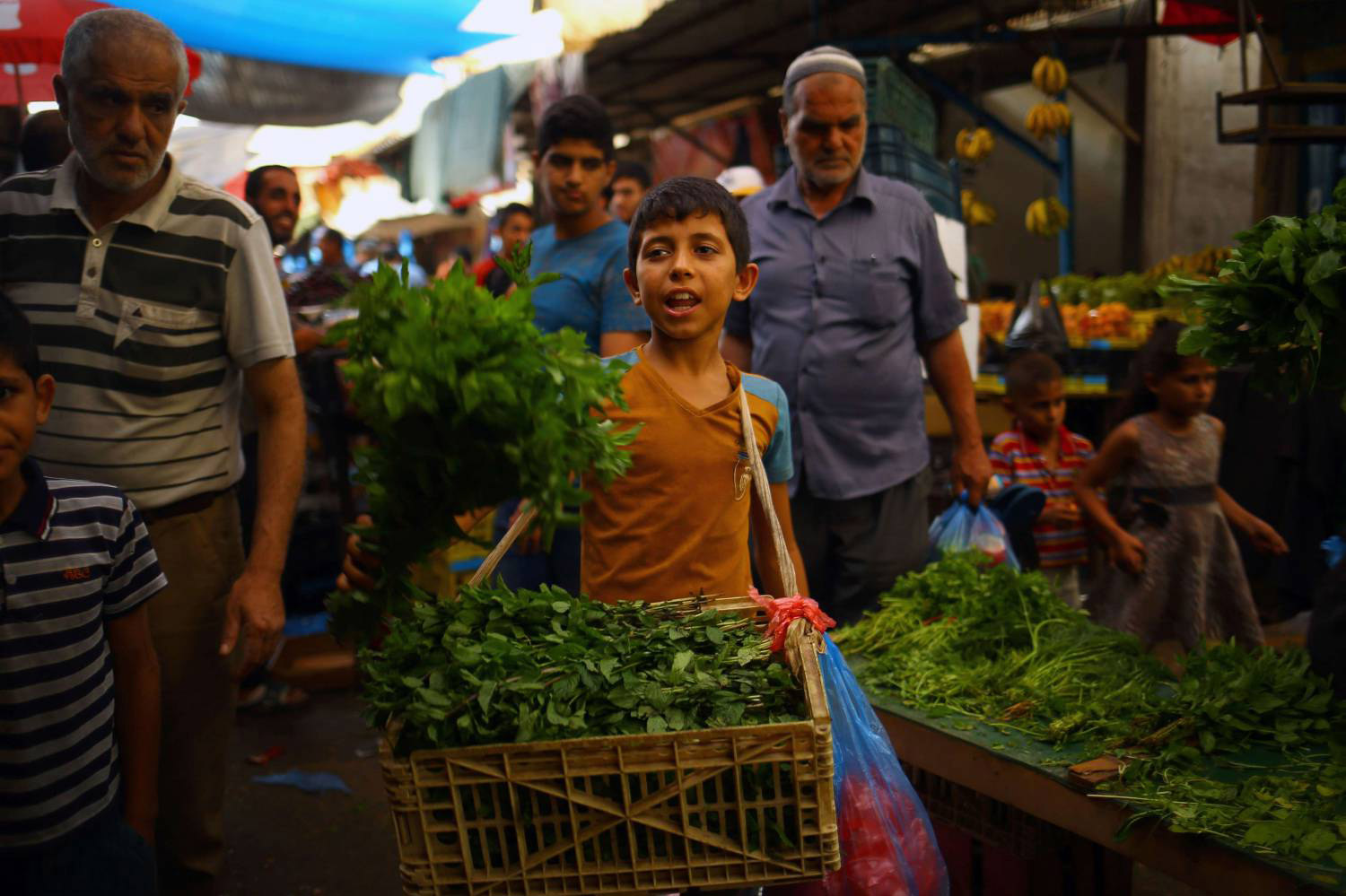 ندخل إلى السوق مع الكبار