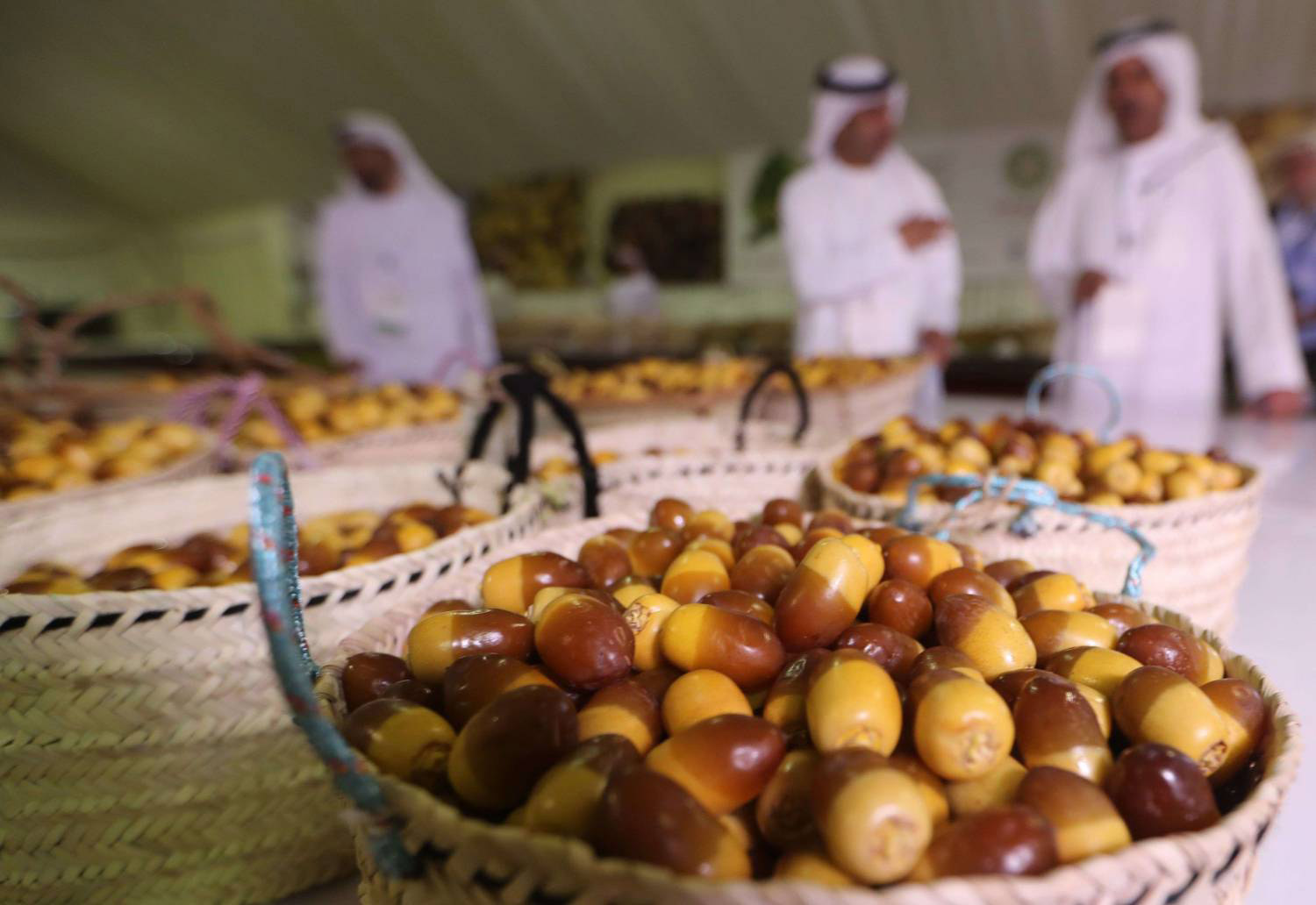 للتمر عشاق يتنافسون عليه