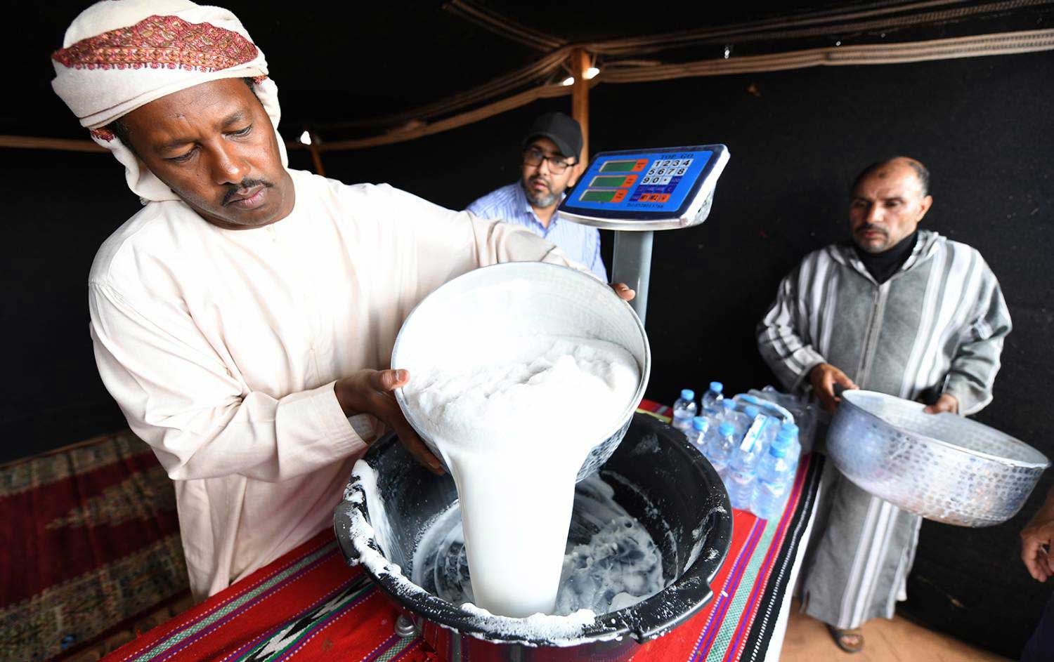 شوط ثالث في مسابقة محالب الإبل