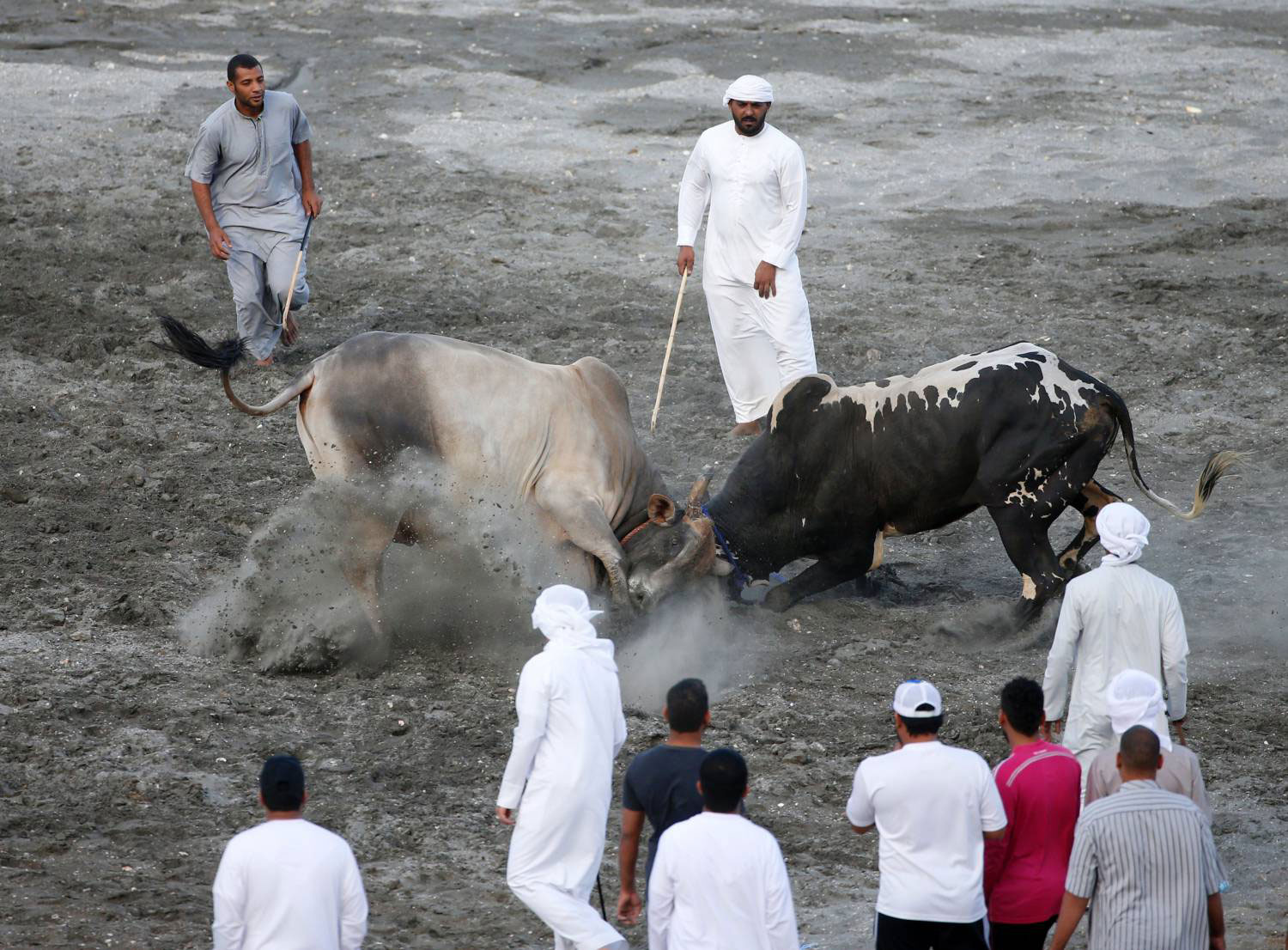 رياضة ممتعة بنكهة عربية