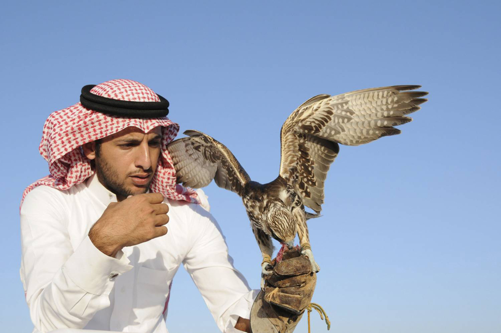 تشجيع الشباب العربي على المحافظة على هذه الهواية