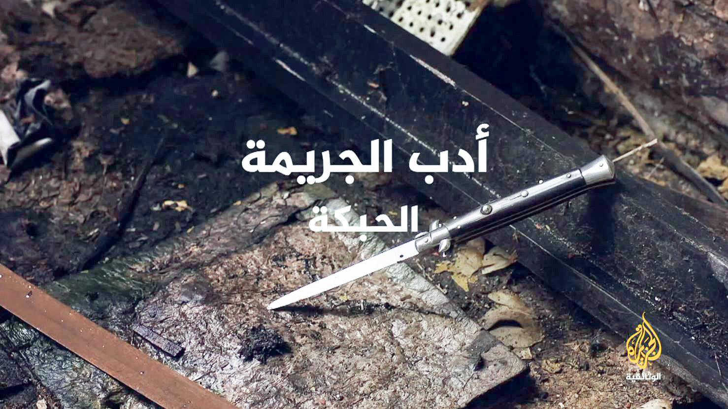 الجزيرة ألمحت إلى أن فودة ارتكب جريمة بطرحه الجريء لأفكاره الرافضة للدولة الدينية 