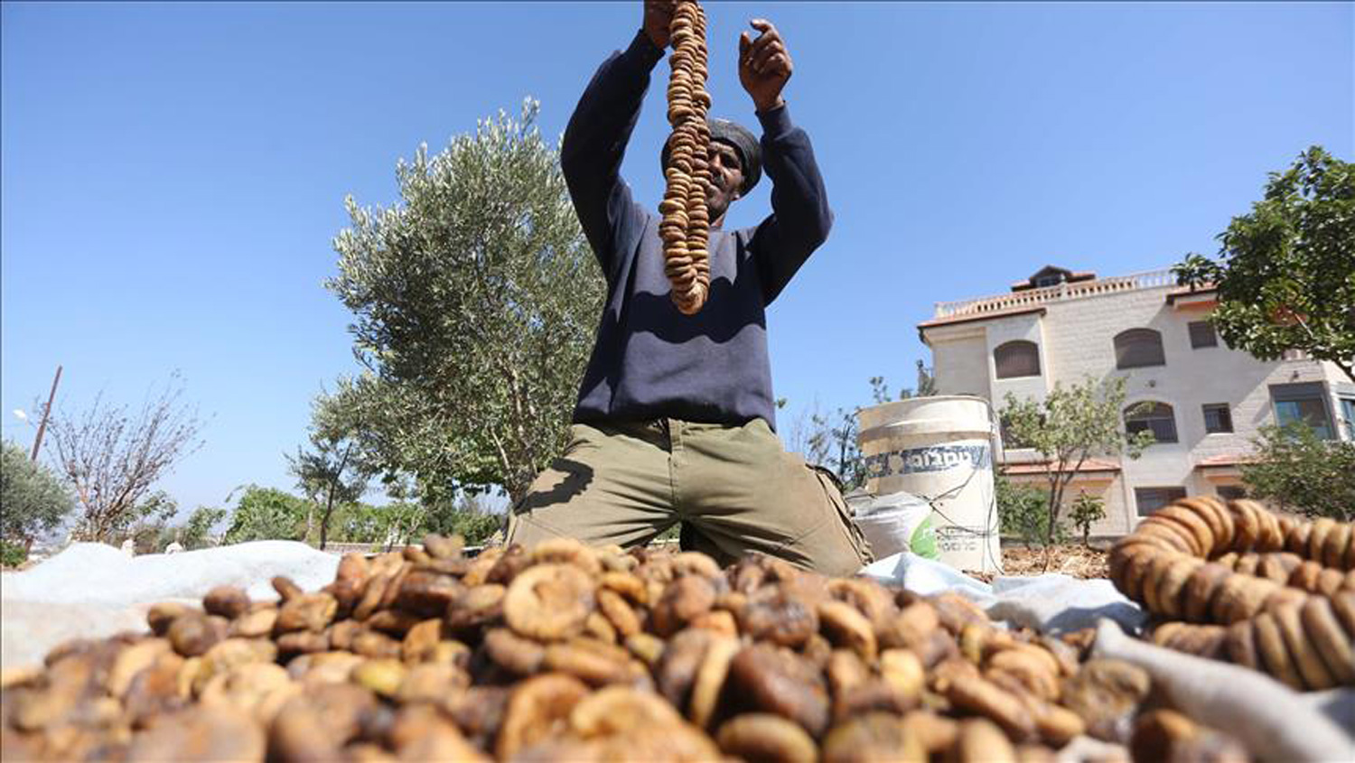 جودة الإنتاج المحلي