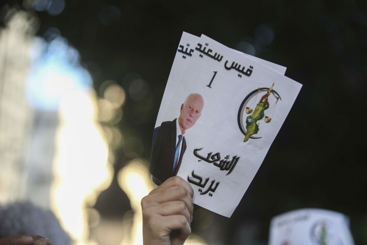 سعيد لم يطرح برنامجا انتخابيا للشعب، بل ولم ينظم حملة دعائية لنفسه، ولكنه كان يحمل برنامجا سياسيا عقائديا لأنصاره المقربين