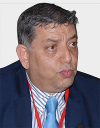 علية العلاني: يجب التدقيق في الأموال الطائلة التي دخلت تونس بعد 2011