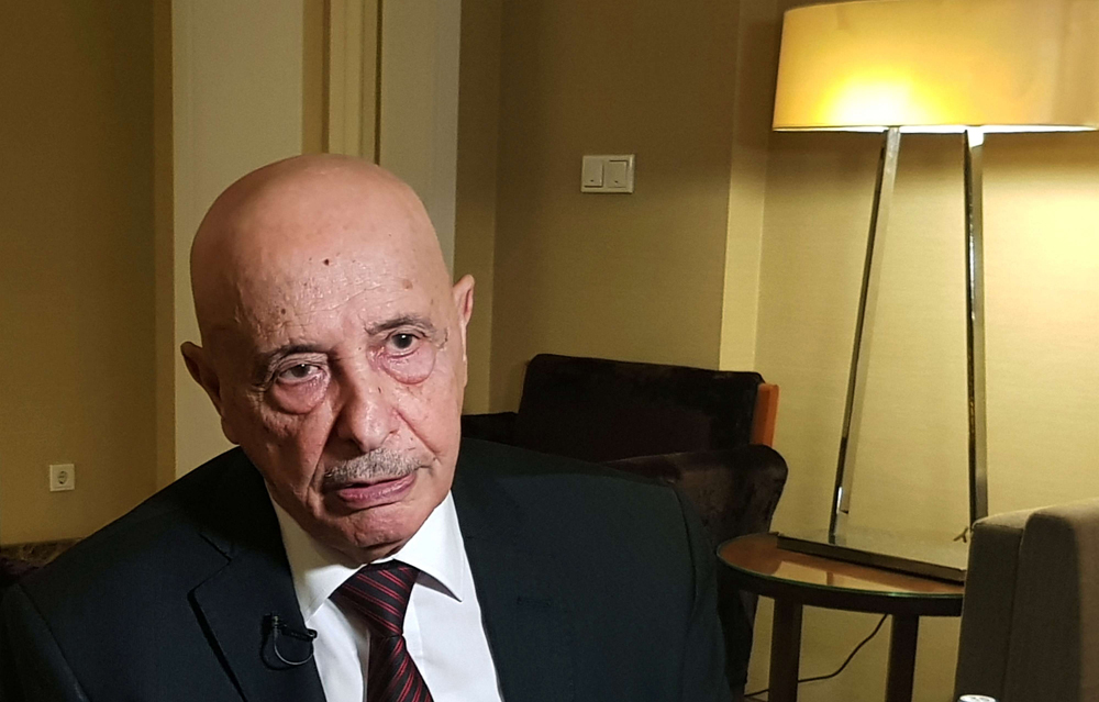 البرلمان المؤسسة الضامنة