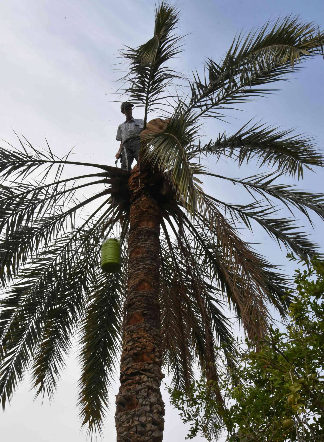 المحافظة على أسرار المهنة