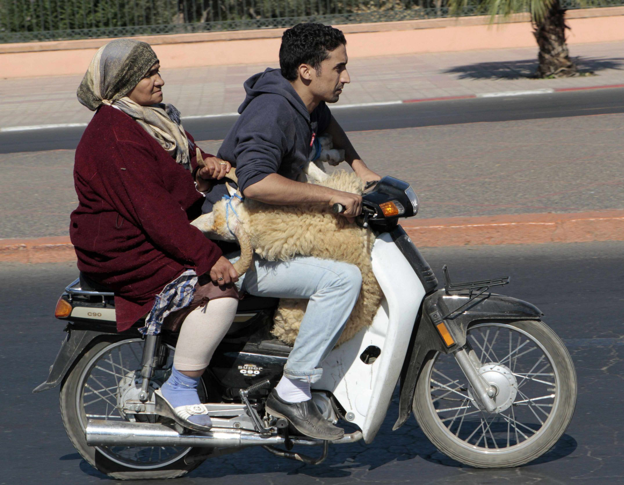 نضحي بما في جيوبنا