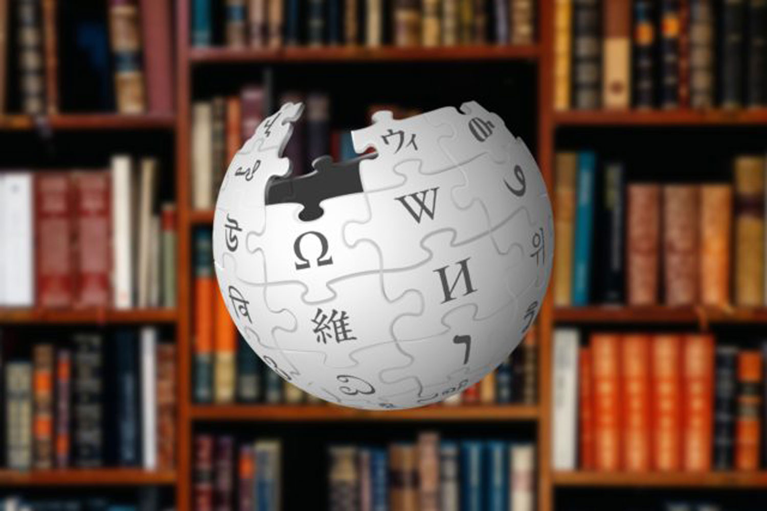 هناك الكثير من الموسوعات وقواعد البيانات على الإنترنت في مجالات متعددة ومفيدة جدًا، ولها قدر لا بأس به من الزوار والمتابعين المتخصصين