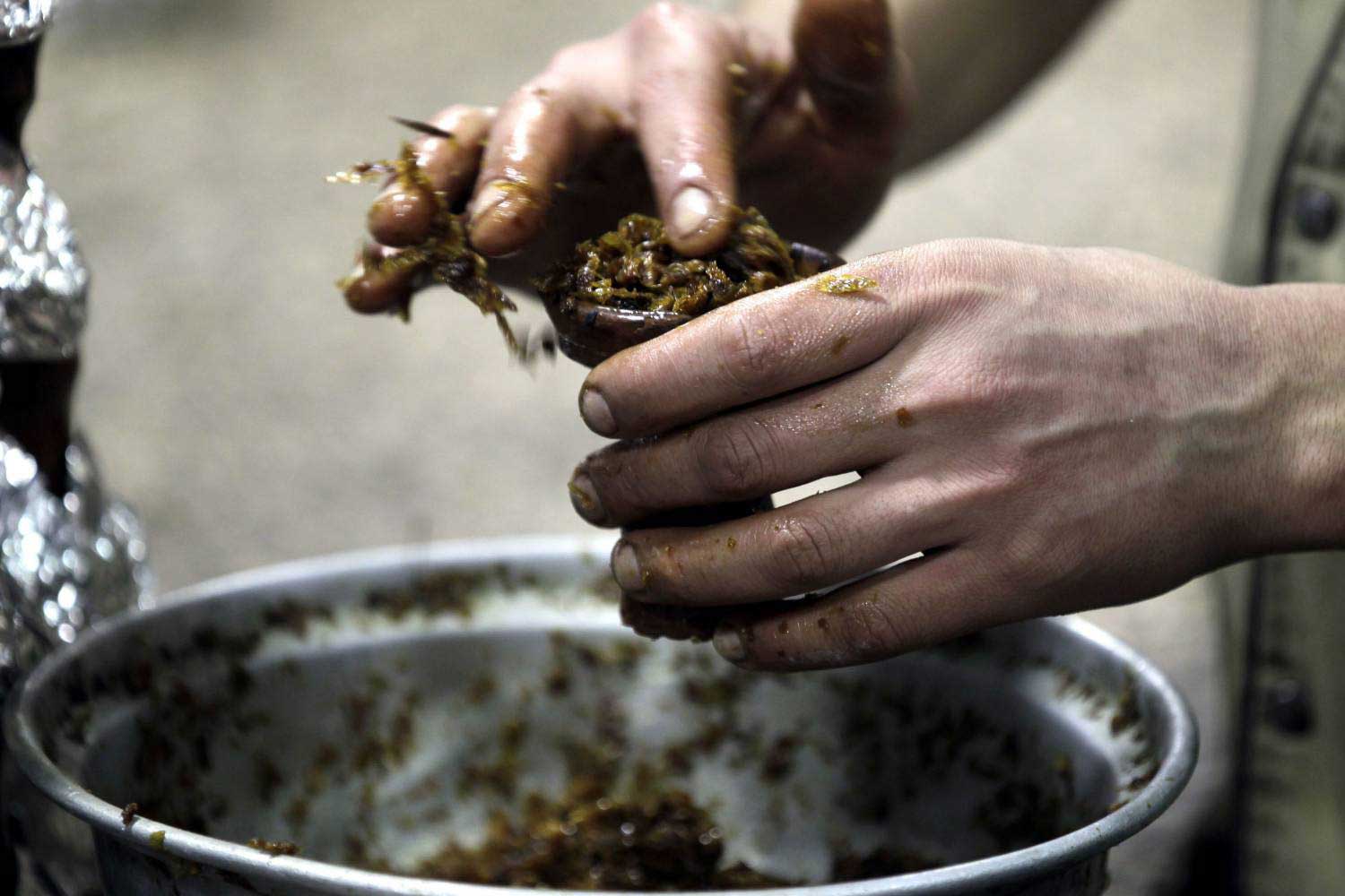 تطيب العطل في مارغيت