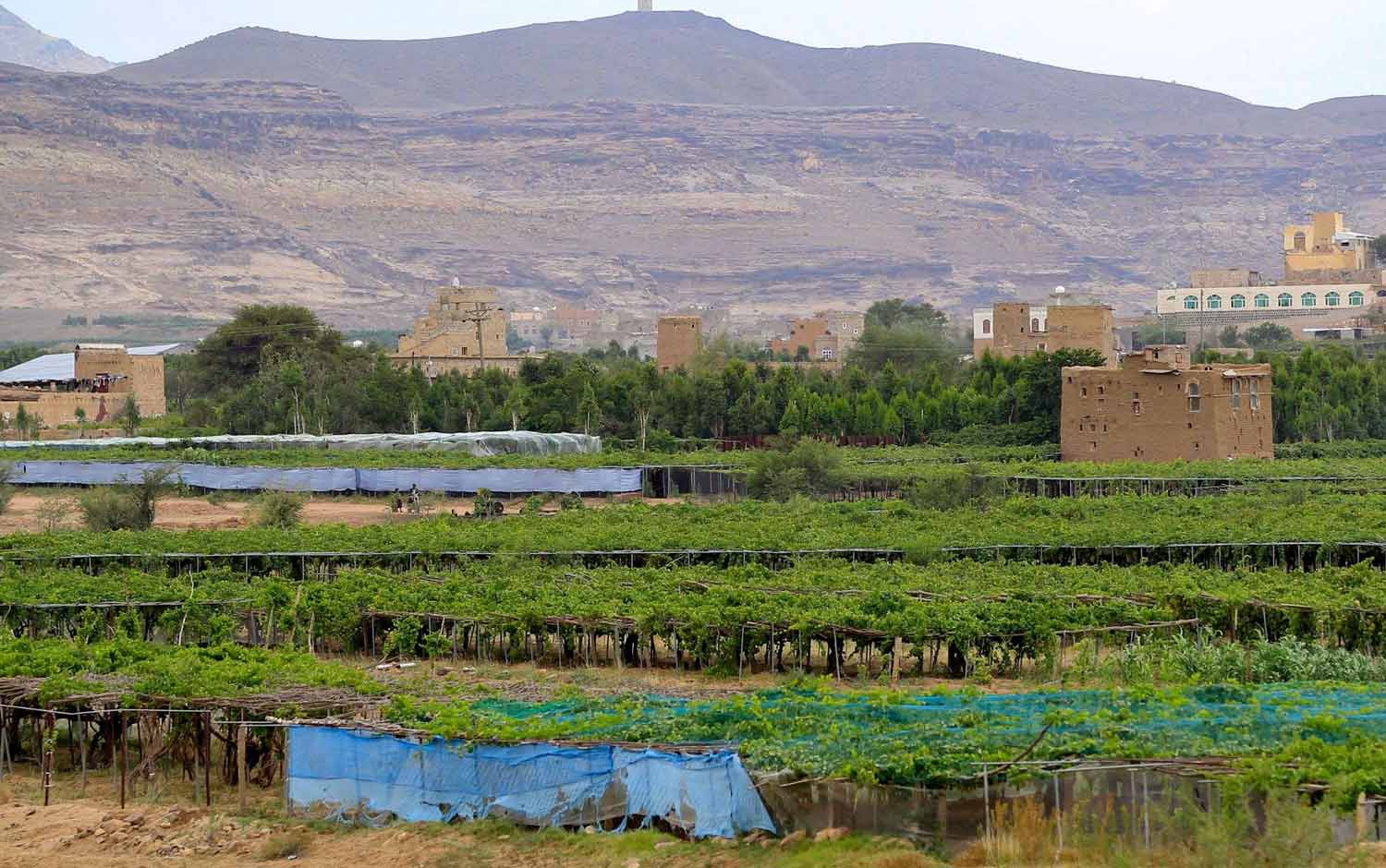 الزراعة هي في آن واحد ضحية للتغير المناخي ومحرك له