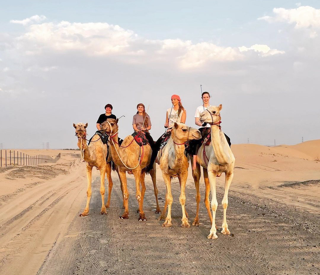 سباق الهجن