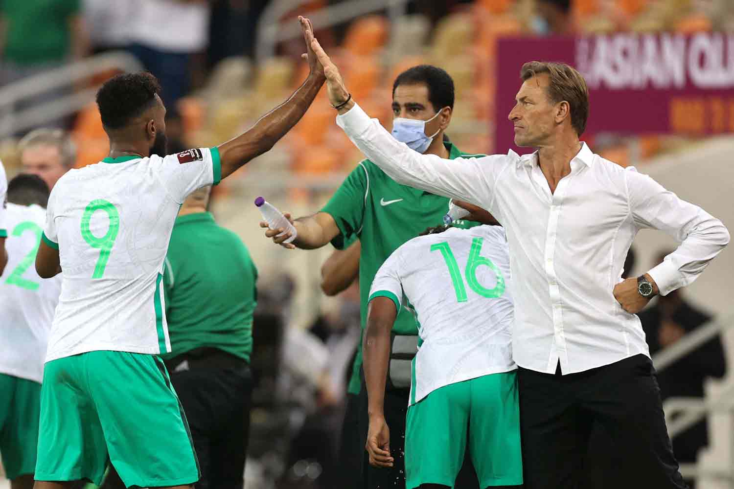 رهان المنتخب السعودي على رينارد كبير 
