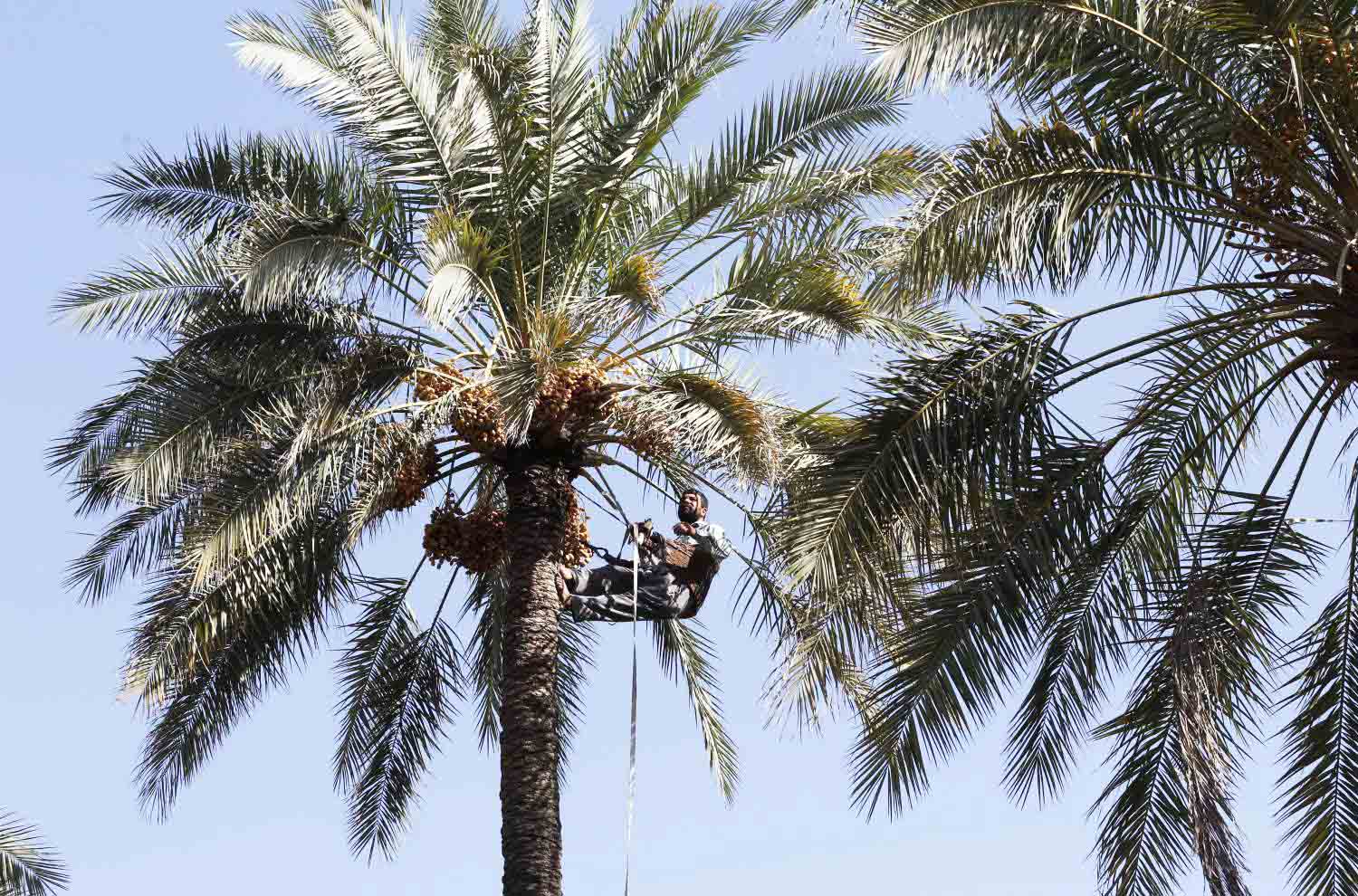 جيسون إيزاكسون: كلام مهم لقرقاش بشأن التواصل مع إسرائيل رغم الخلافات