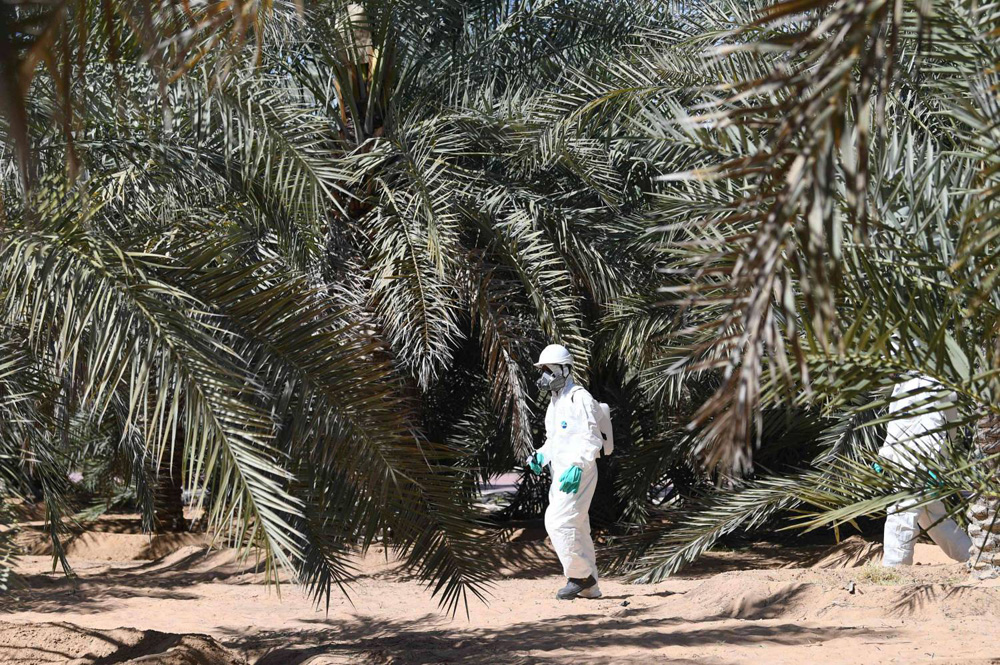حملة تلقيح في الوقت المناسب