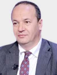 حاتم المليكي: النهضة تستغل الموقف الأميركي لفرض المحكمة الدستورية