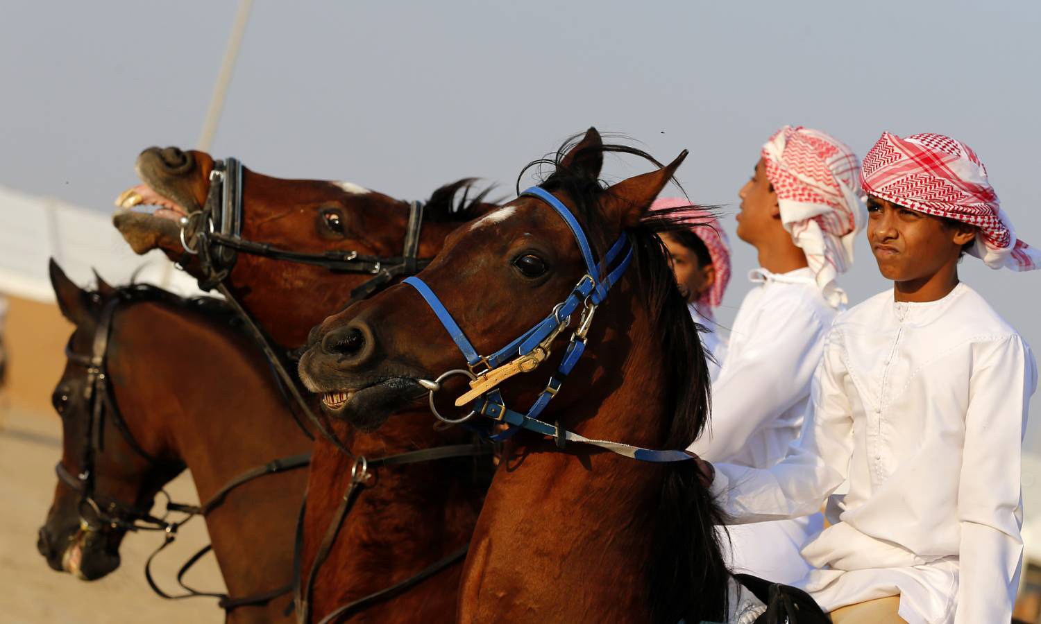 مدللون لديهم المزيد من الأشياء باهظة الثمن