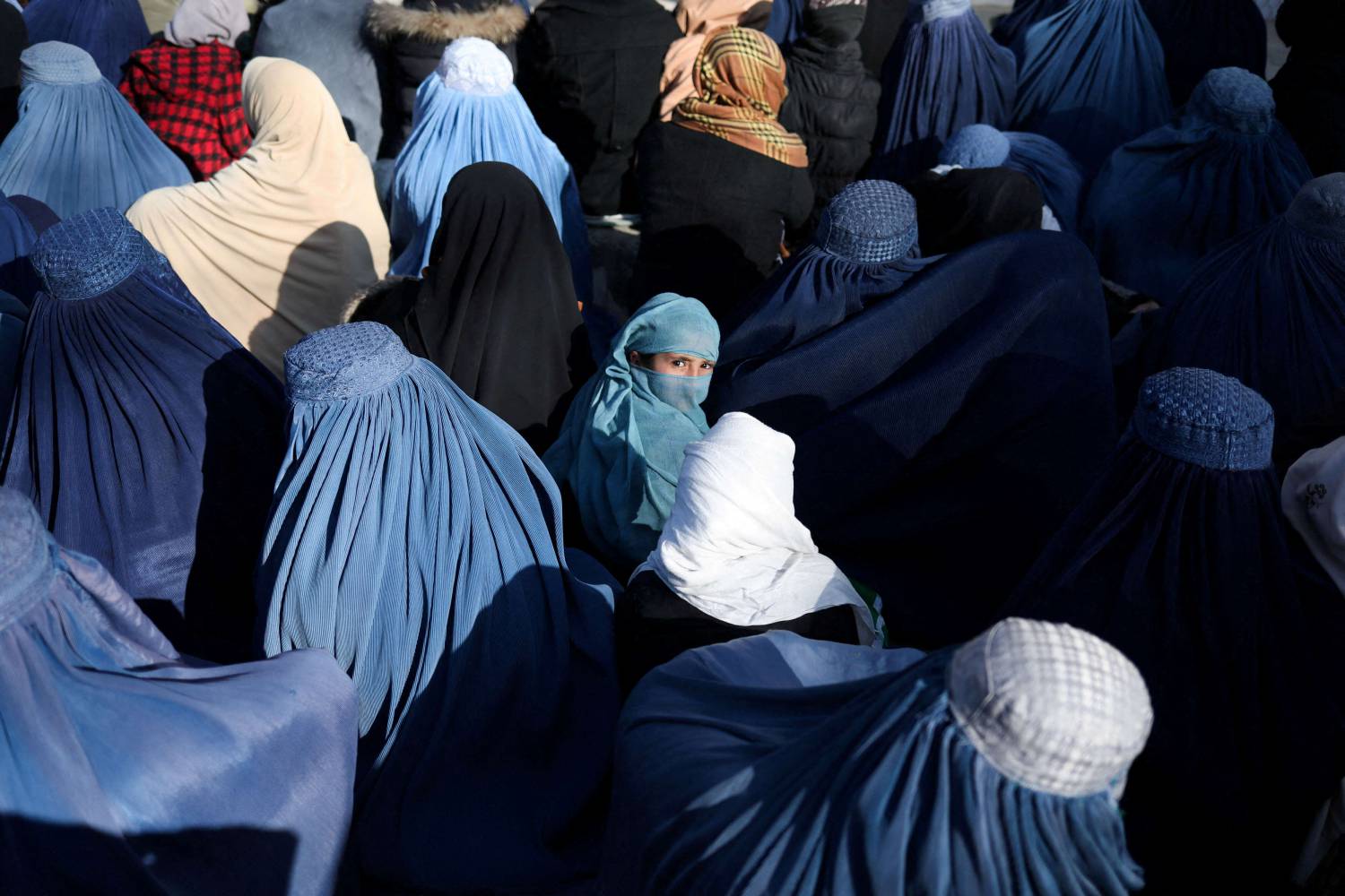 نظرة راسخة 
