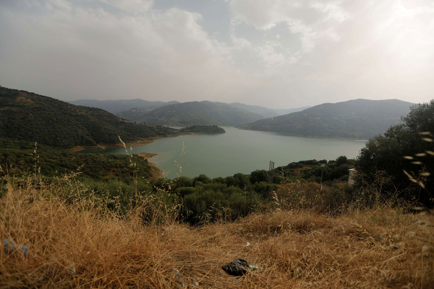 صورة
