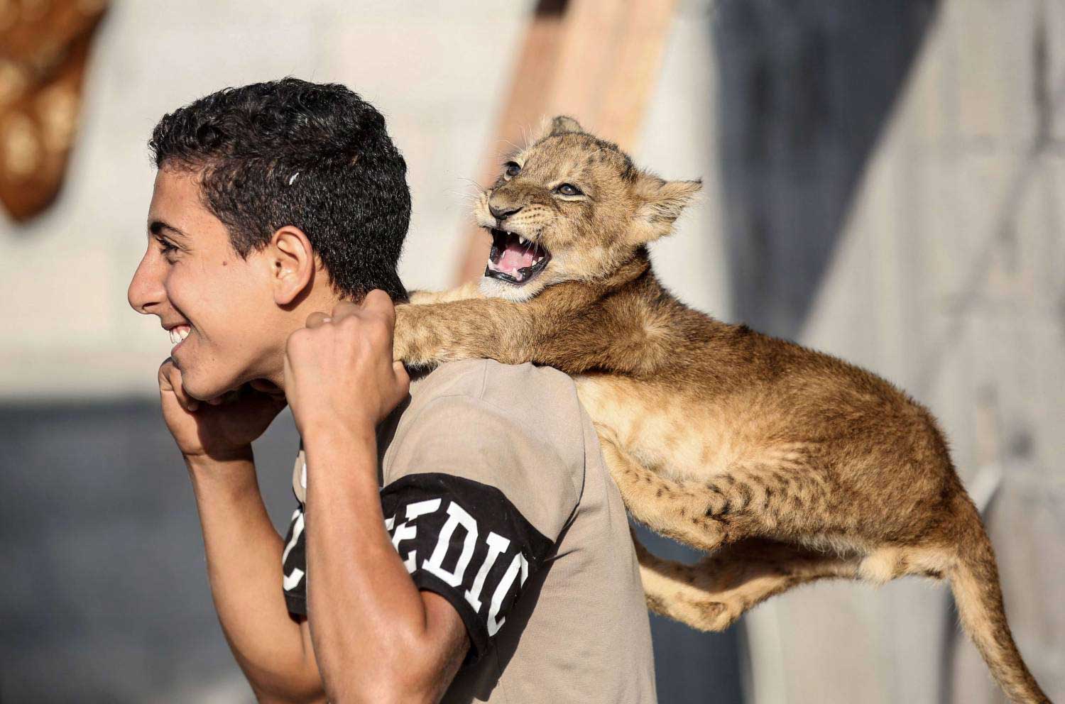 كن صديقي