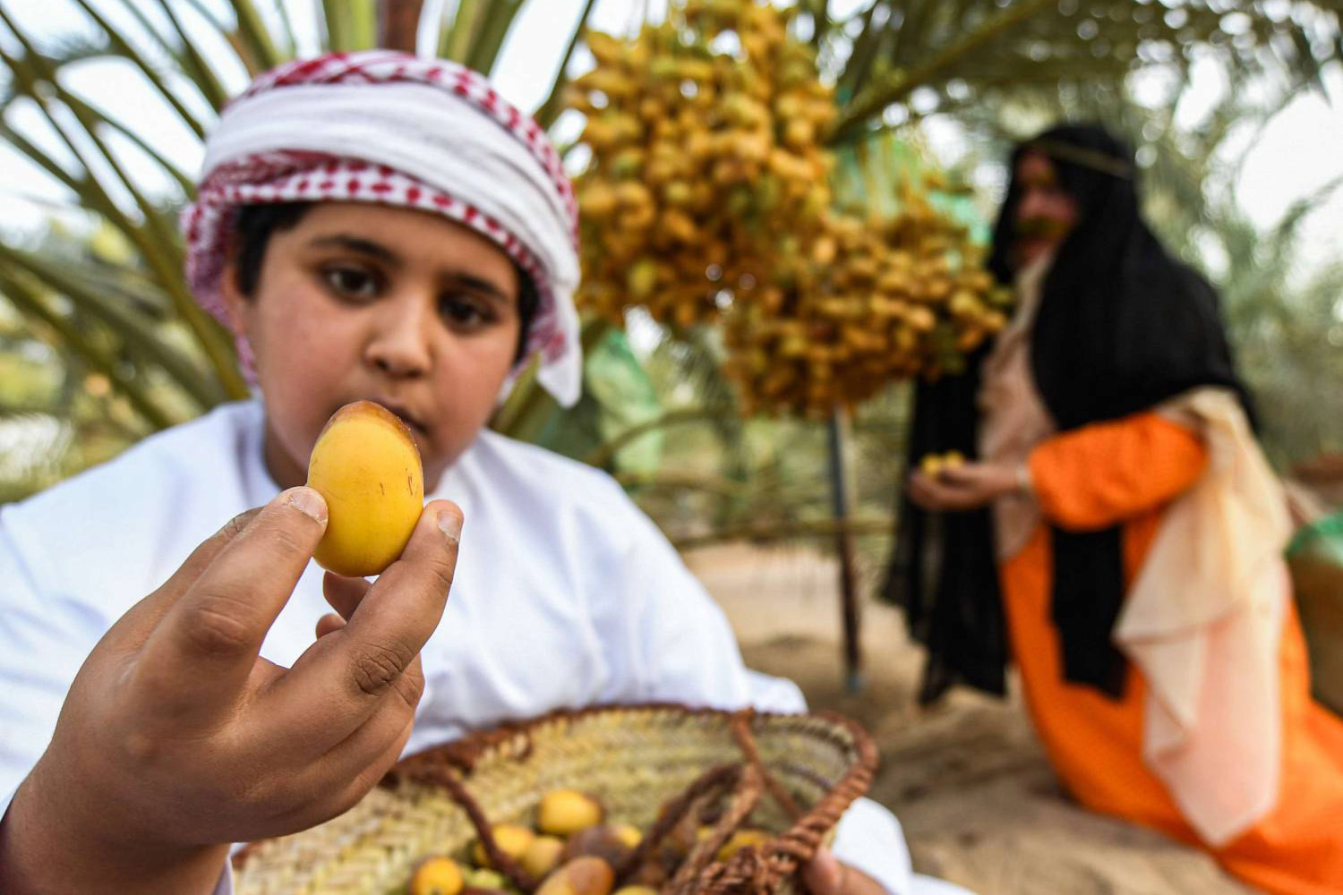 موطن النخيل هو الخليج العربي ولا ينتعش نموه إلاّ في المناطق شبه الاستوائية 