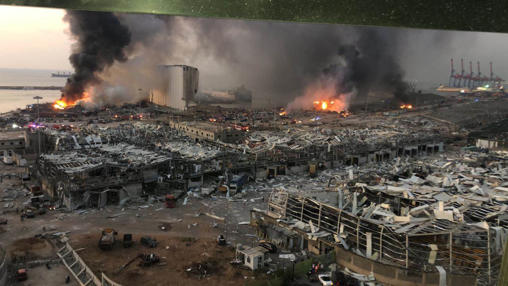 النظام محصن ضد الإصلاح