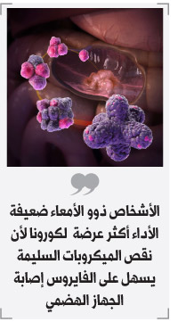 البكتيريا