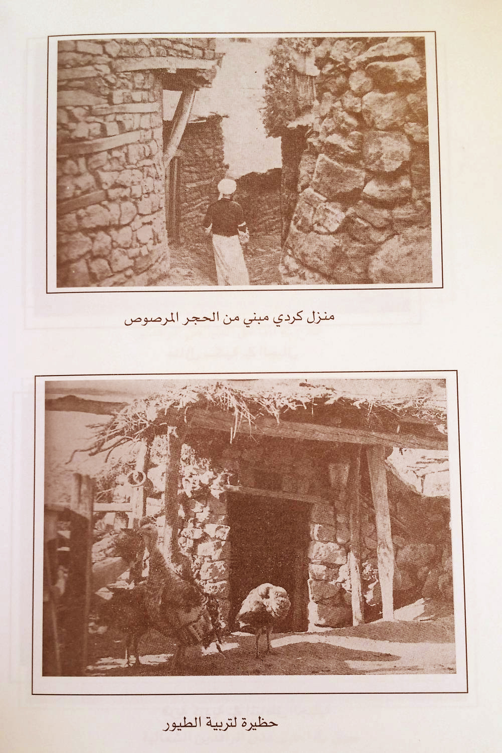 تراث