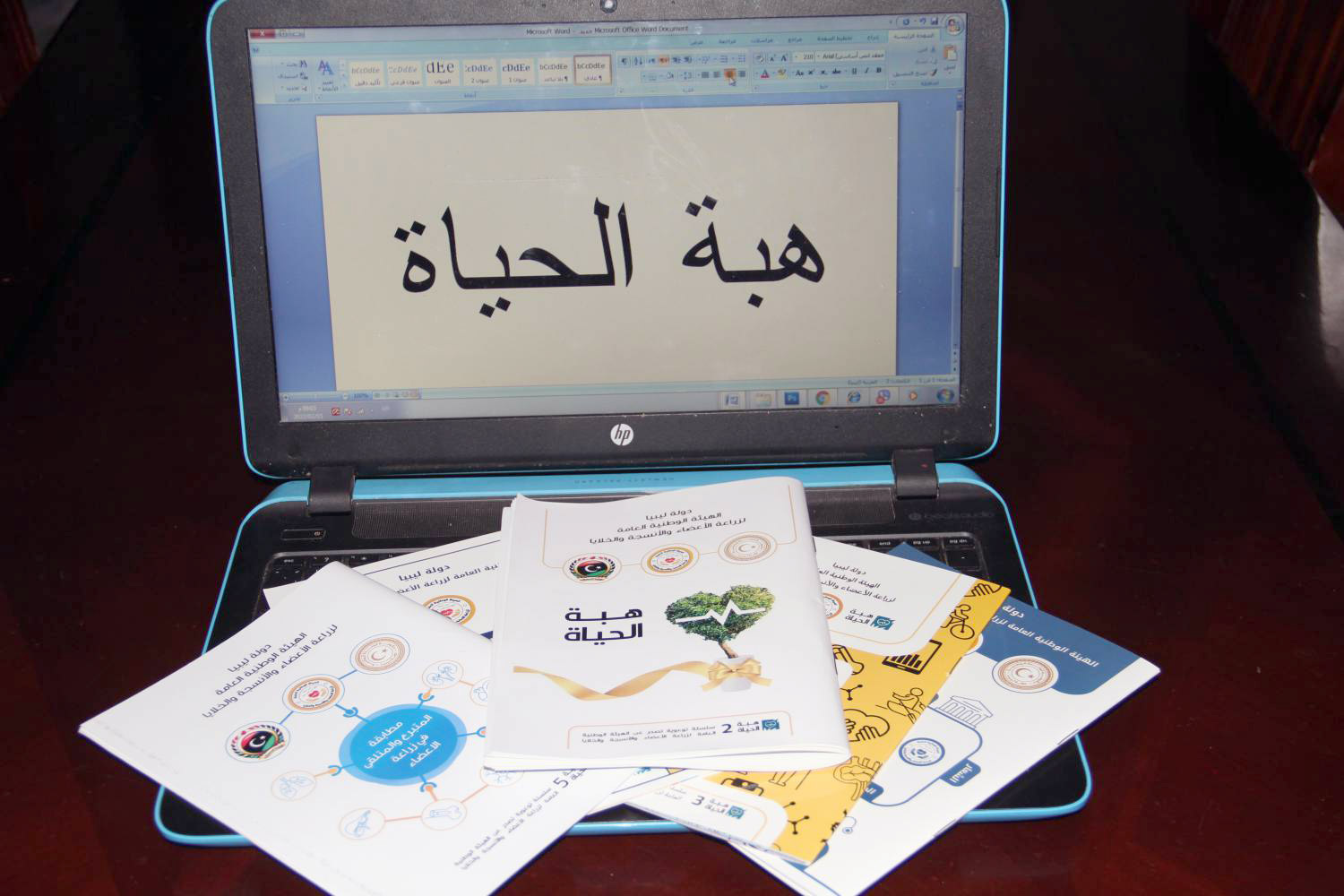 مشروع