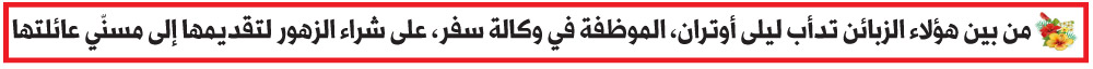 البرازيل