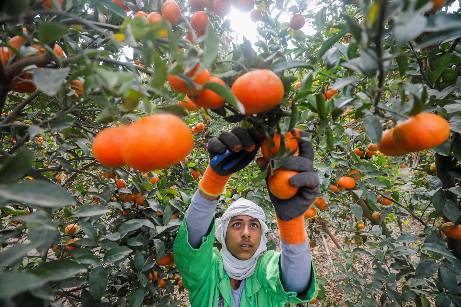  العمل الخاص الآن أصبح سيد الموقف في شتى الميادين