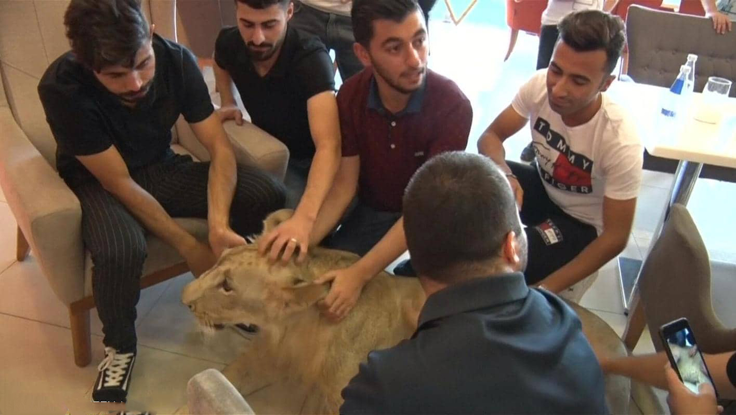 الجميع يتسابق لالتقاط الصور مع ليو