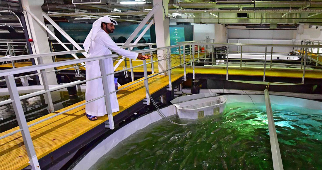 السمك يتنفس في الصحراء